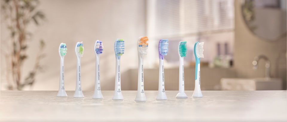 Lineup of brush heads